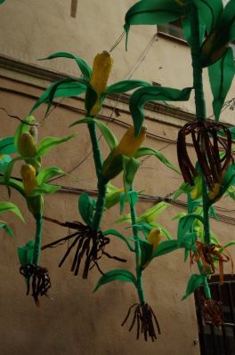 Carrer Fraternitat
Wiguonia
