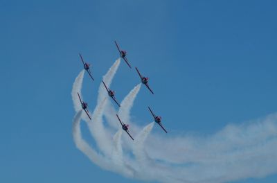 Patrulla Ãguila - C-101 x 7
