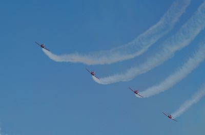 Patrulla Ãguila - C-101 x 7
