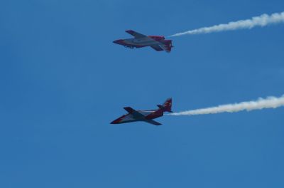 Patrulla Ãguila - C-101 x 7
