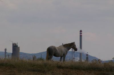 2540x50.jpg