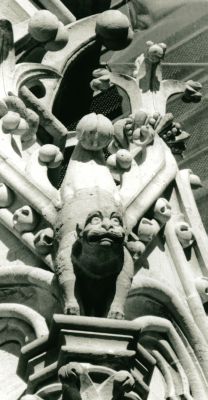ND11.JPG