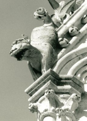 ND6.JPG
